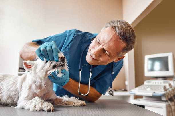 Best After-Hours Dental Trauma Care in Quincy, WA